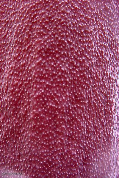 Amorphophallus gigas © Bill Weaver